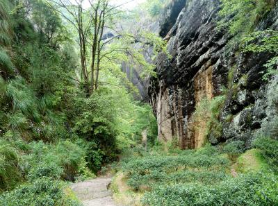 P1090616 50191427267 O