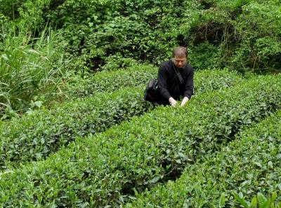 P1090627 50190620238 O