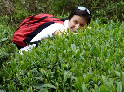 P1090637 50190619538 O