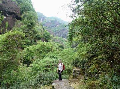 P1090659 50191165191 O