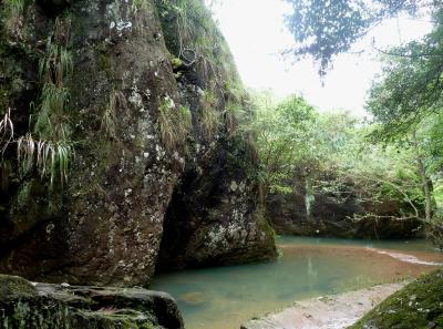 P1090669 50191164061 O