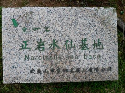 P1090689 50190616358 O