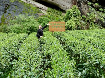 P1090693 50190616093 O