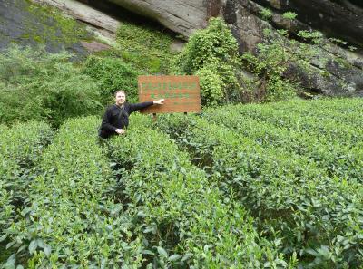 P1090694 50190668678 O