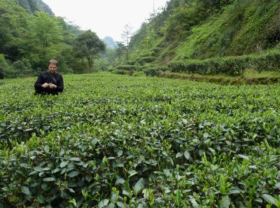 P1090697 50191421772 O