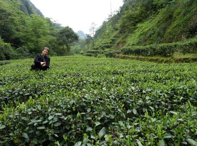 P1090698 50190615298 O