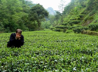 P1090700 50191160936 O