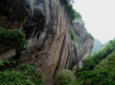 P1090801 50191416212 O