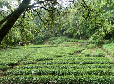 P1090826 50190608653 O