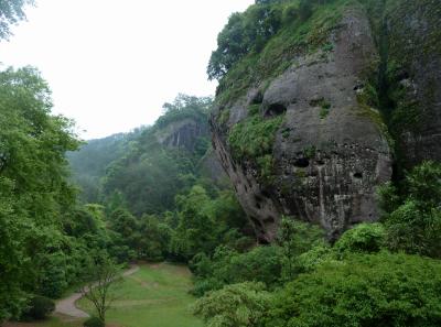 P1090894 50191413527 O