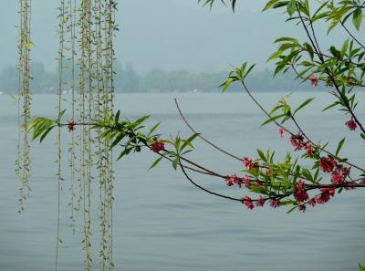 P1090900 50190607233 O