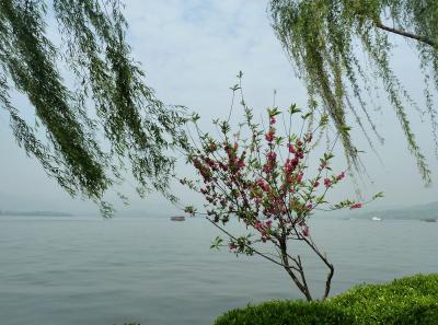 P1090901 50191412692 O