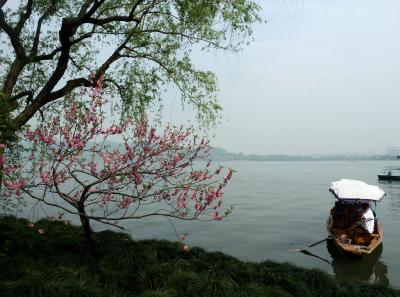 P1090903 50191412412 O