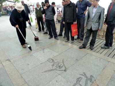 P1090914 50191151761 O