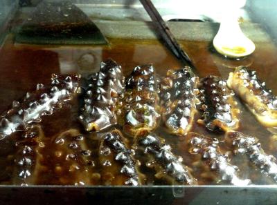 P1090996 50191409397 O