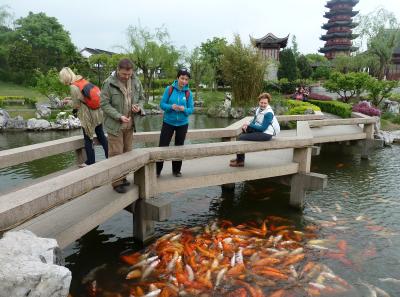 P1100140 50191405227 O