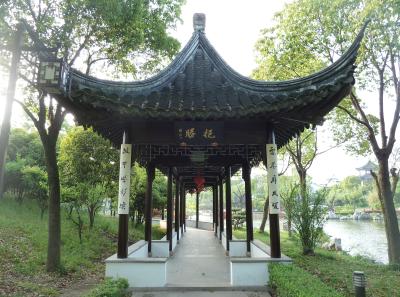 P1100194 50191469217 O