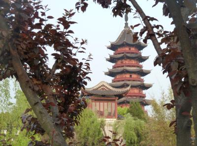 P1100221 50191208671 O