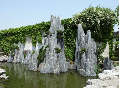 P1100255 50190663018 O