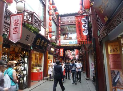 P1100312 50191205581 O