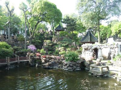 P1100313 50191205261 O