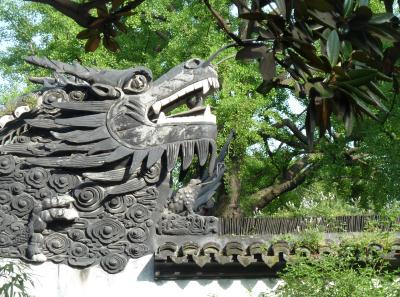 P1100325 50190659913 O