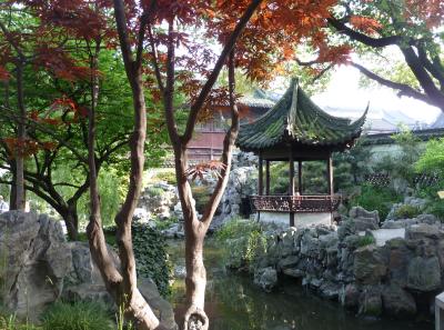 P1100347 50191204491 O