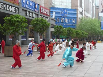 P1100395 50191463762 O