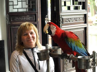 P4125624 50191459382 O