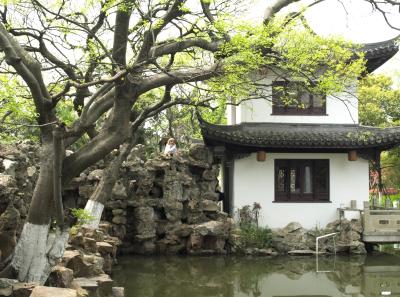 P4125627 50191458937 O