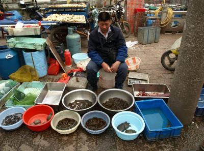 P4125647 50190652453 O