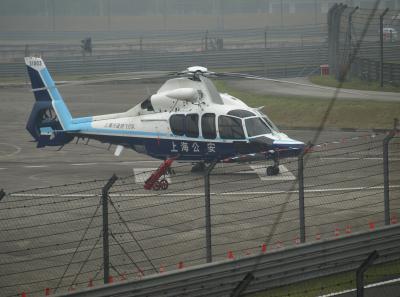 P4135723 50191454337 O