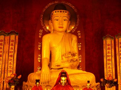 P4135765 50191193836 O