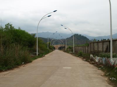 P4145805 50191451037 O