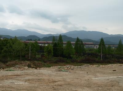 P4145806 50190645268 O