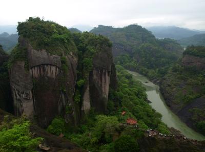 P4155895 50190642168 O