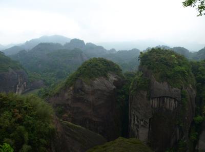 P4155902 50191447422 O