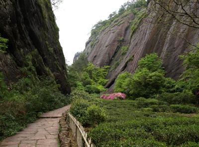 P4165914 50191186171 O