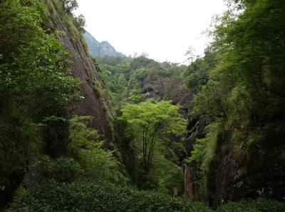 P4165918 50190639993 O