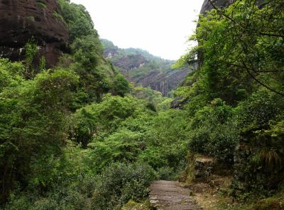 P4165922 50191185561 O