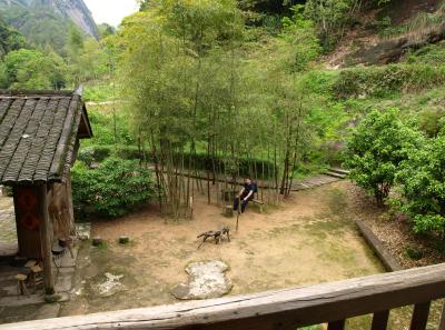 P4165924 50191445032 O