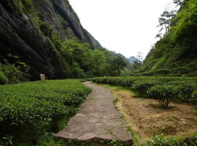 P4165930 50190638758 O