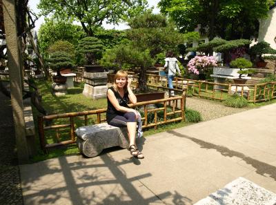 P4225989 50191440682 O