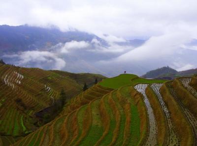 China0081001 Jpg 16447801942 O