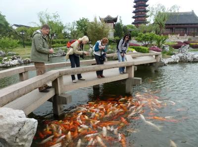 China0081031 Jpg 16262851117 O