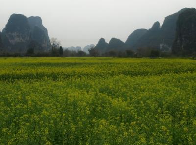 China0081041 Jpg 16422748706 O