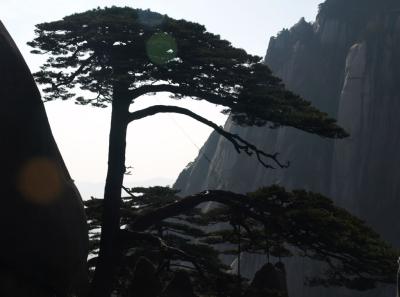 China0081058 Jpg 16447810012 O