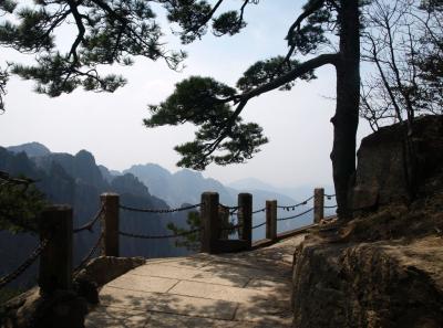 China0081062 Jpg 15828689953 O