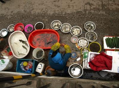 China0081084 Jpg 16422754586 O