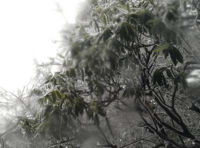 China0081094 Jpg 15826234524 O